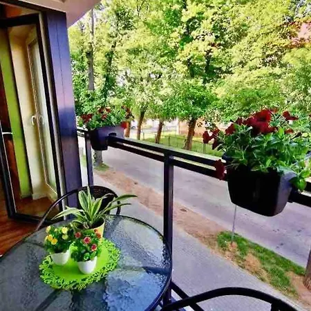 Appartement Nowy 2 Pokojowy Apartament W Samym Centrum Kartuz, 100m Do Rynku *