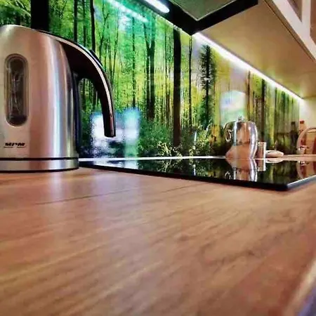Nowy 2 Pokojowy Apartament W Samym Centrum Kartuz, 100m Do Rynku * Kartuzy