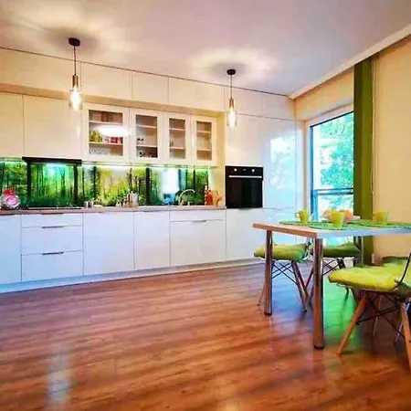 Nowy 2 Pokojowy Apartament W Samym Centrum Kartuz, 100m Do Rynku Appartement Kartuzy