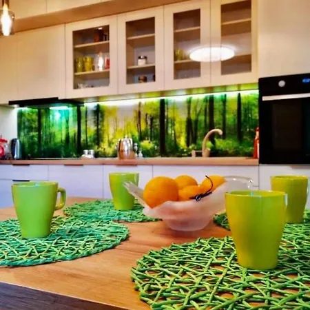Nowy 2 Pokojowy Apartament W Samym Centrum Kartuz, 100m Do Rynku Kartuzy